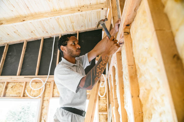 Insulation Inspection Services in La Grange, TX